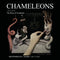 Chameleons 23/05/24 @ The Old Woollen, Farsley