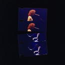 Jacob Alon - Live at The Roundhouse *Pre-Order