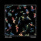 Slow Pulp - Moveys (Deluxe Edition)