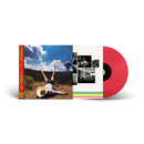 Geese - 3D Country *Pre-Order