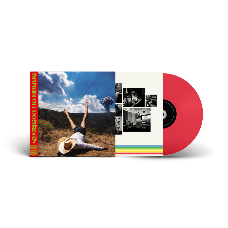 Geese - 3D Country *Pre-Order