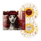 Used (The) – The Used