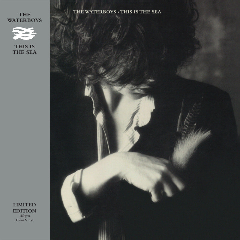 Waterboys (The) - This Is The Sea