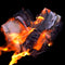 Peter Alexander Jobson - Burn The Ration Books Of Love