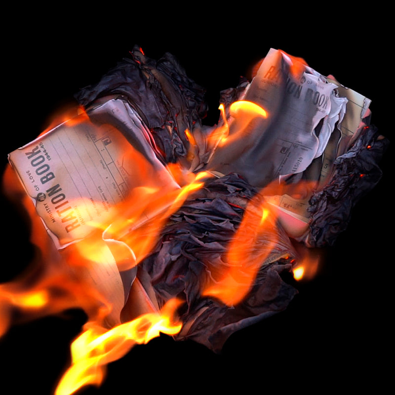 Peter Alexander Jobson - Burn The Ration Books Of Love