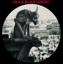 Current 93 - Picture Disc Reissues