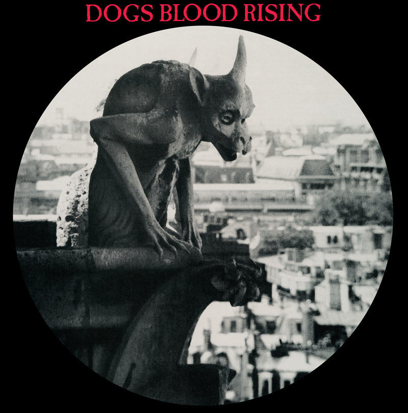Current 93 - Picture Disc Reissues