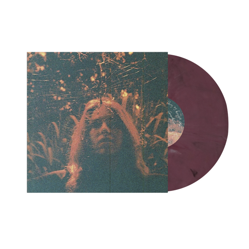 Turnover - Peripheral Vision (10 Year Anniversary Edition)