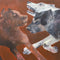 81355 - Bad Dogs *Pre-Order