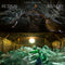Cyprien Gaillard - Retinal Rivalry *Pre-Order