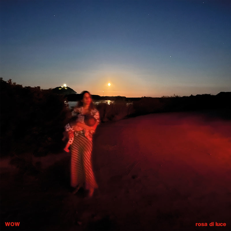 Wow - Rosa di Luce