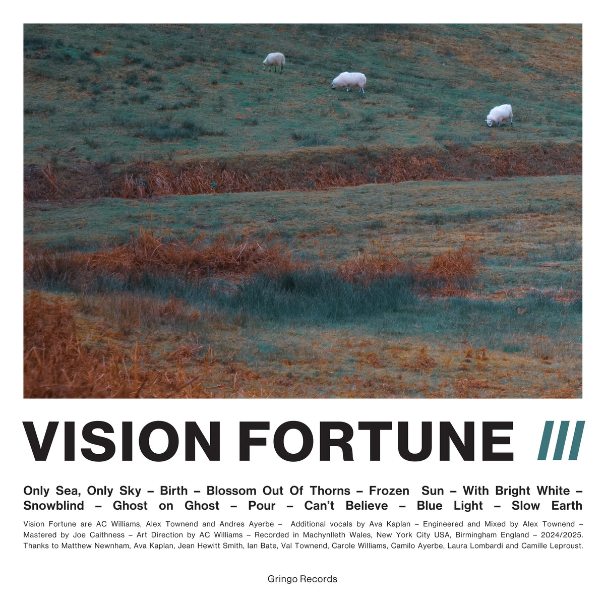 Vision Fortune - III *Pre-Order