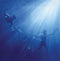 Foals - Total Life Forever *Pre-Order