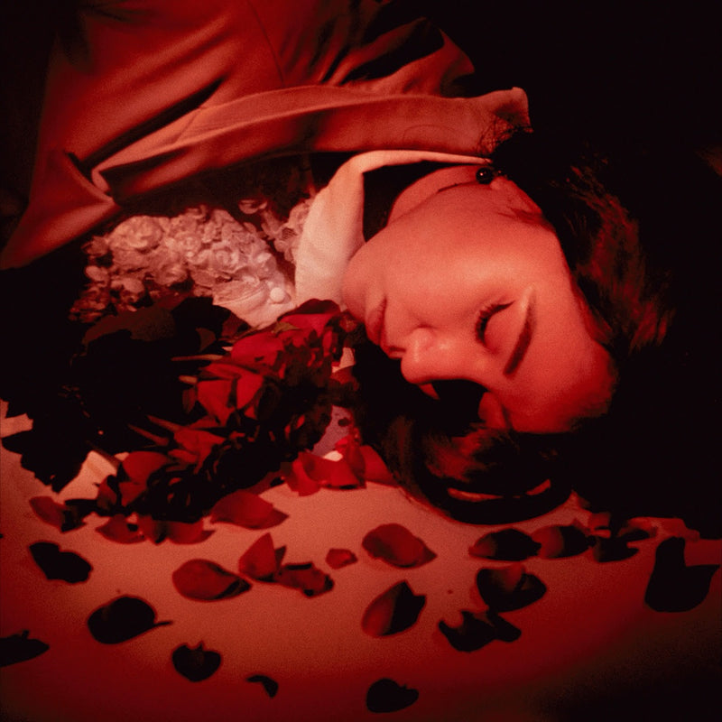 Coming Up Roses - How Did We Fall So Far? *Pre-Order