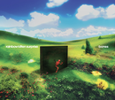 Rainbow Kitten Surprise - bones *Pre-Order