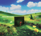 Rainbow Kitten Surprise - bones *Pre-Order