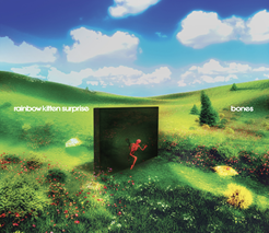 Rainbow Kitten Surprise - bones *Pre-Order