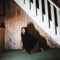 Jahnah Camille - My sunny oath! *Pre-Order