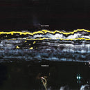 Gilla Band - Pugnello *Pre-Order