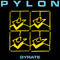 Pylon - Gyrate *Pre-Order