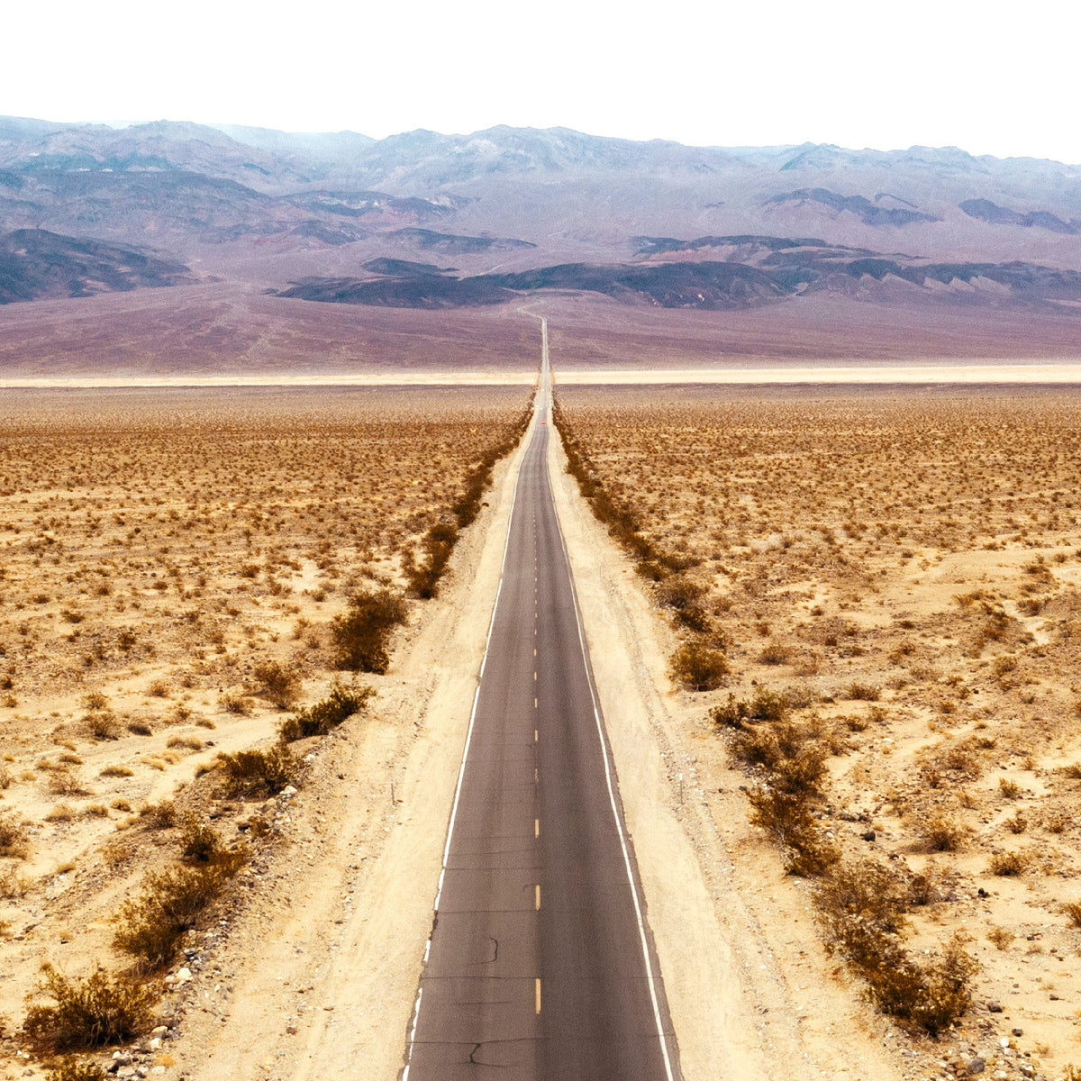 TUOMO & MARKUS, VERNERI POHJOLA - MUSIC FOR ROADS