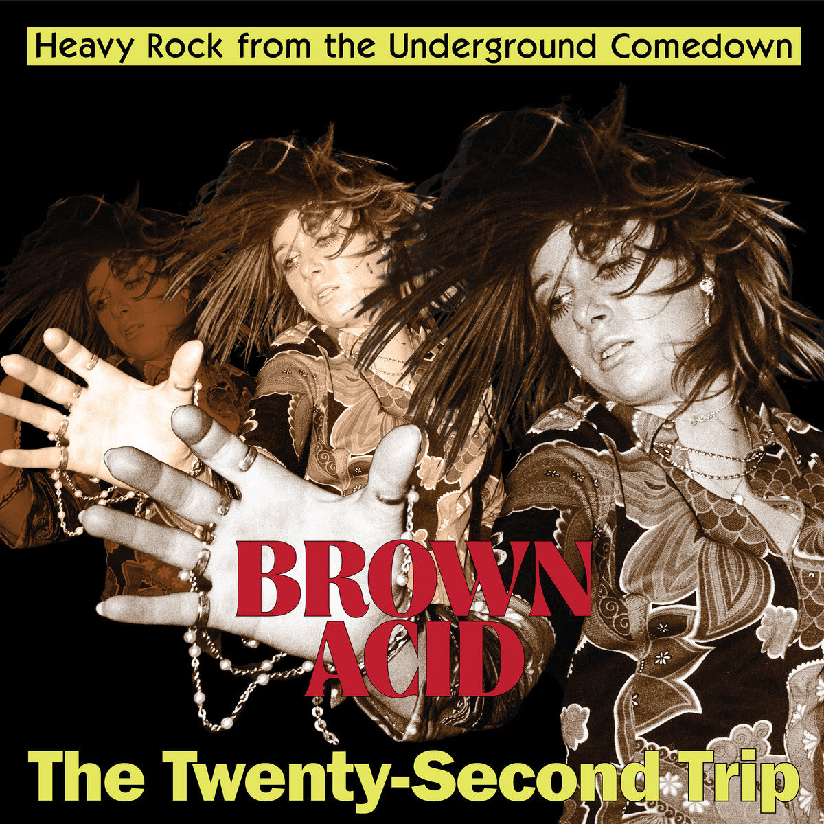 Various Artists - Brown Acid: The Twenty-Second Trip