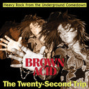 Various Artists - Brown Acid: The Twenty-Second Trip