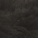 Lesley Mok - transient