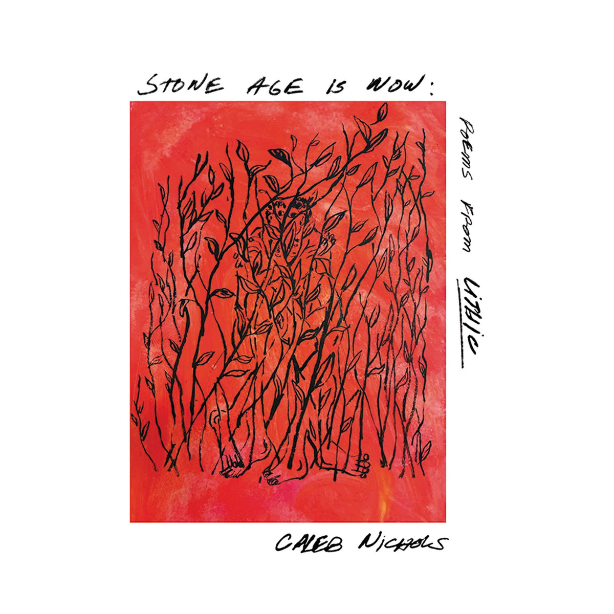 Caleb Nichols - Stone Age Is Now: Poems from Lithic *Pre-Order
