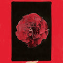Activity - A Thousand Years In Another Way