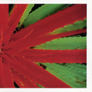 Jejune - This Afternoons Malady *Pre-Order