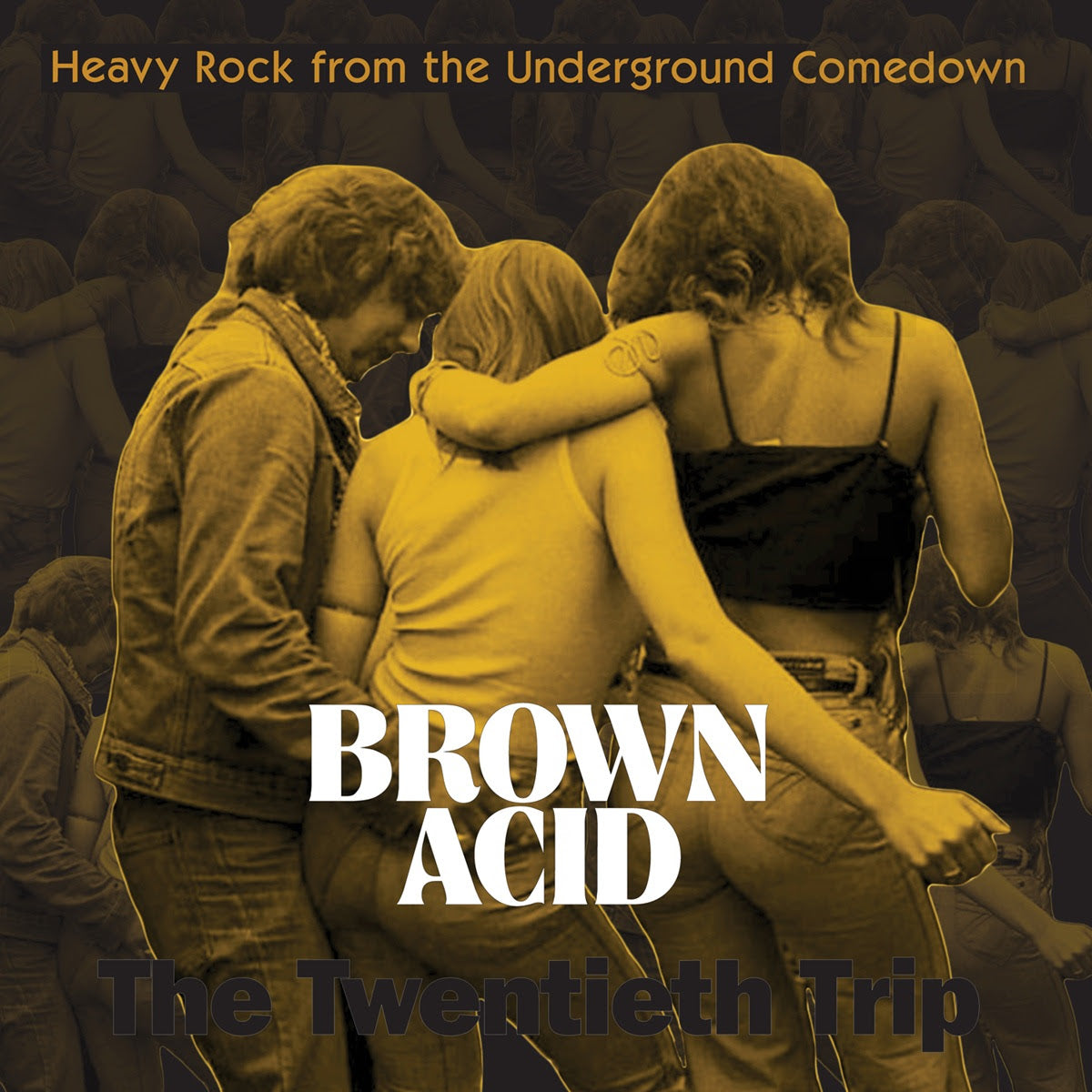 Various Artists - Brown Acid: The Twentieth Trip