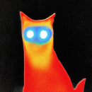 Basement - WIRED *Pre-Order