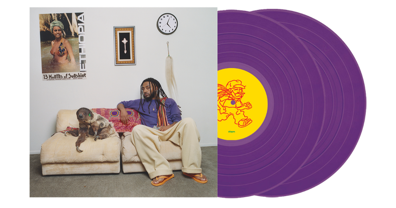 Aminé - 13 Months of Sunshine
