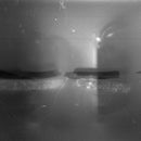 Erik Klinga - Hundred Tongues *Pre-Order