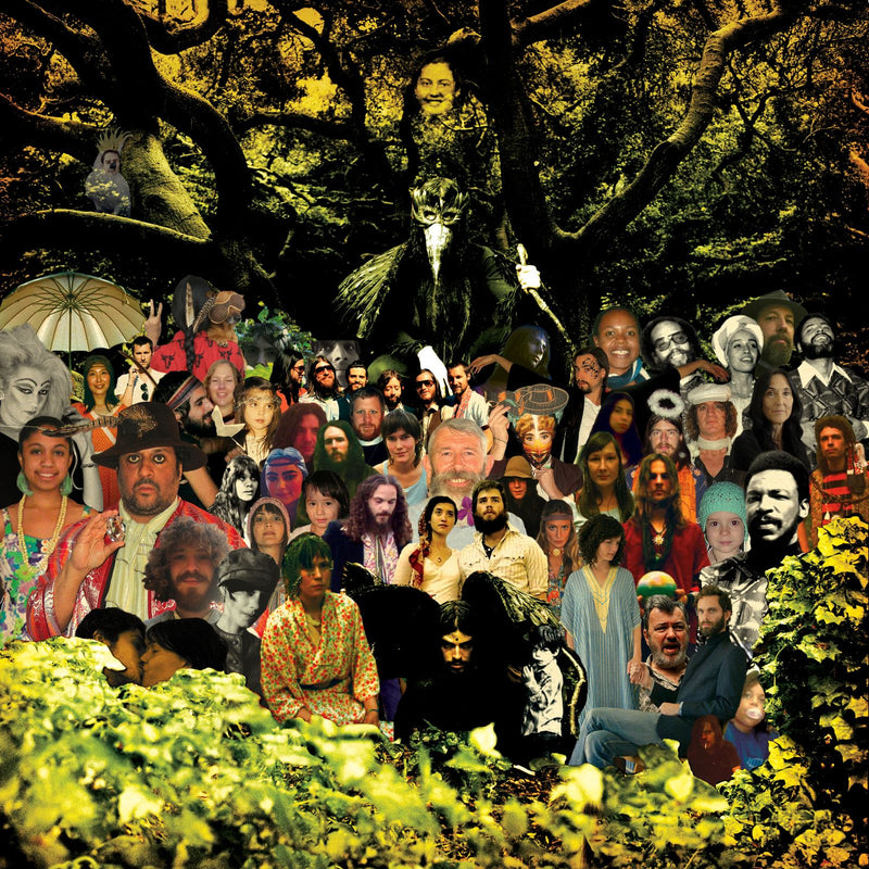 Devendra Banhart - Cripple Crow (20th Anniversary Deluxe Edition) *Pre-Order