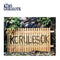 King Creosote - KC Rules OK *Pre-Order