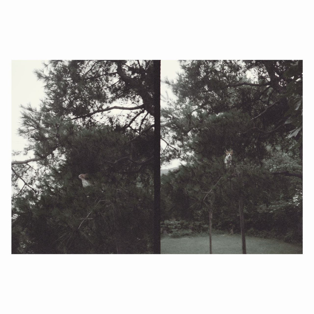 Okkyung Lee - just like any other day (어느날) : background music for your mundane activities