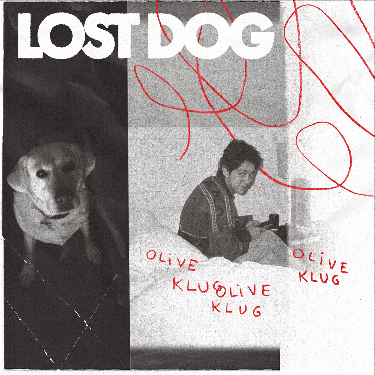 Olive Klug - Lost Dog