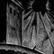 Paris 1942 - Paris 1942 *Pre-Order