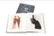 Various Artists - Soul Music of Illinois - An Illustrated Catalog of Records