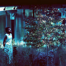 JJJJJerome Ellis - Vesper Sparrow *Pre-Order