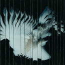 Scaler - Endlessly *Pre-Order