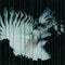 Scaler - Endlessly *Pre-Order