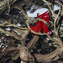 Hannah Frances - Nested in Tangles *Pre-Order