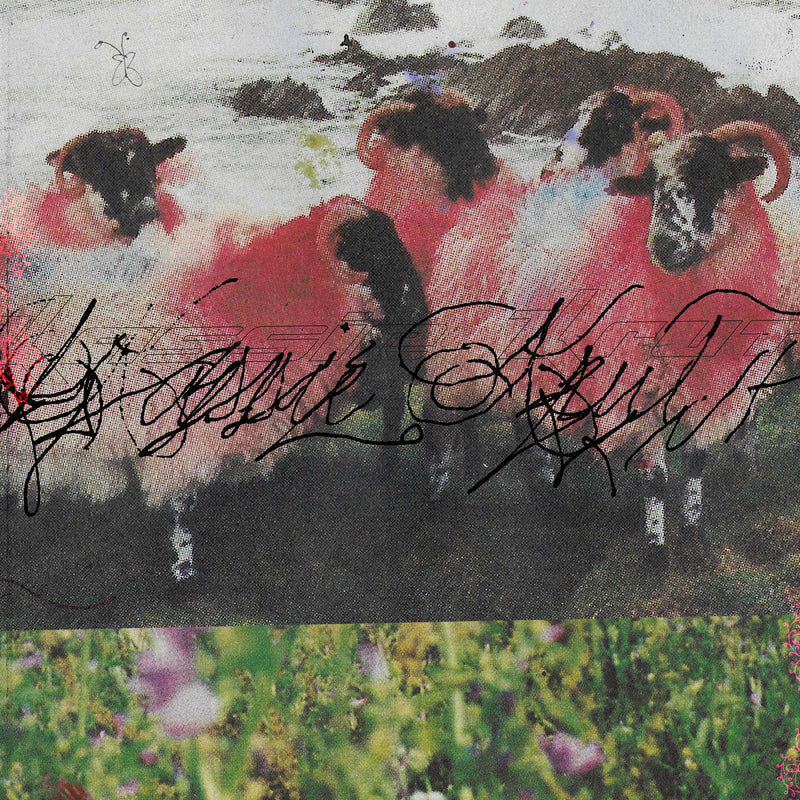 Kassie Krut - Kassie Krut *Pre-Order