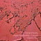 Richard Norris - Music For Healing - Colours Volume Two *Pre-Order