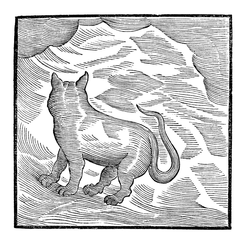 Valentina Magaletti & YPY - Kansai Bruises