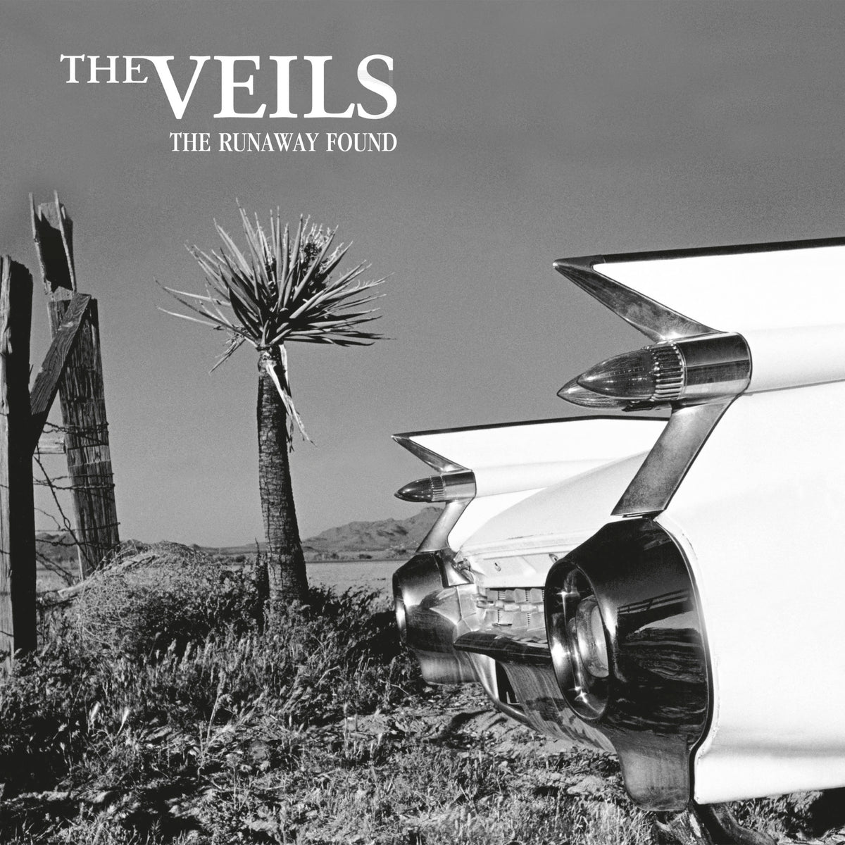 Veils (The) - The Runaway Found *Pre-Order