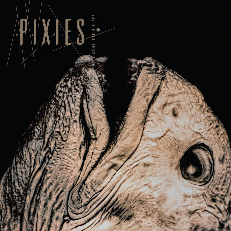Pixies - Complete B Sides: 1988-97 (Remastered)